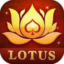 gin rummy knocking rules download